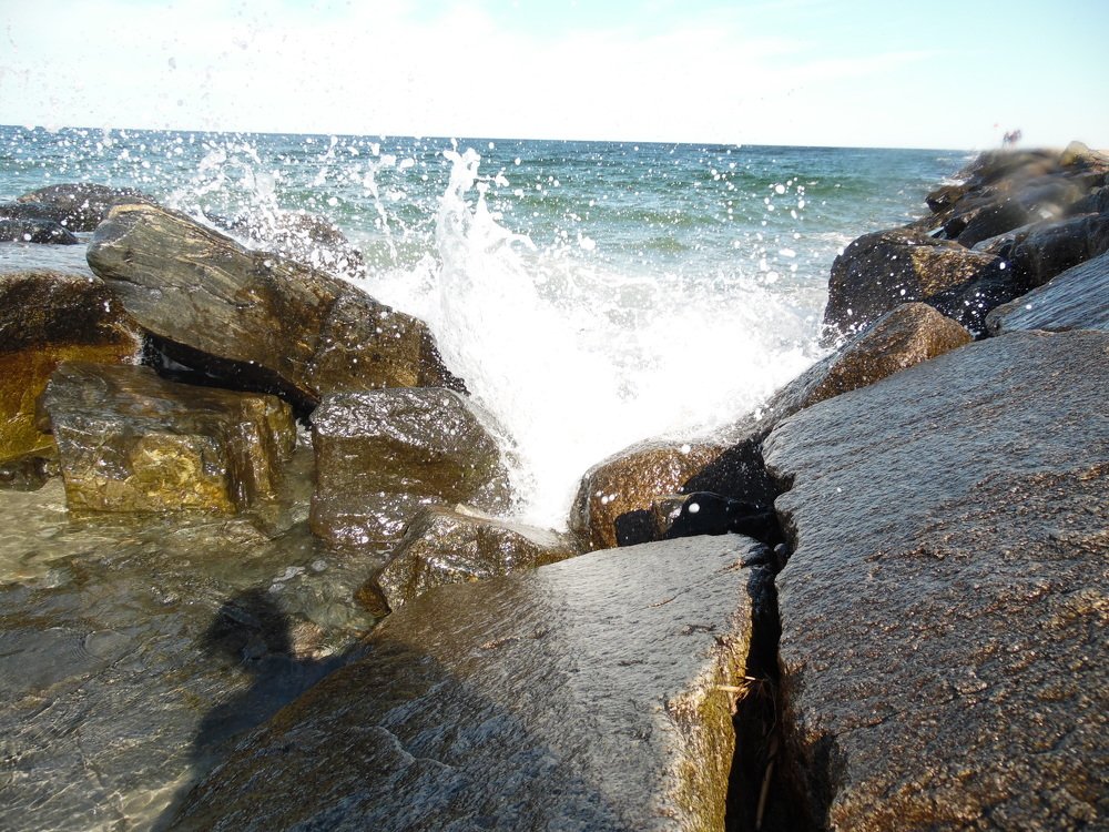 Photograph by Stephanie Fitton