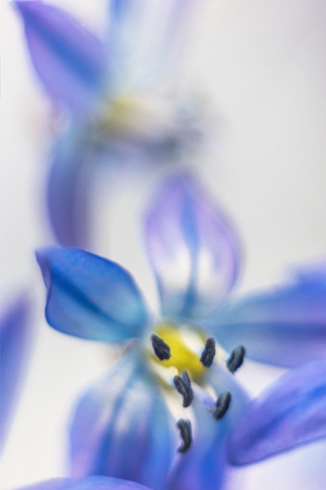 Photograph by Maria Tripoten