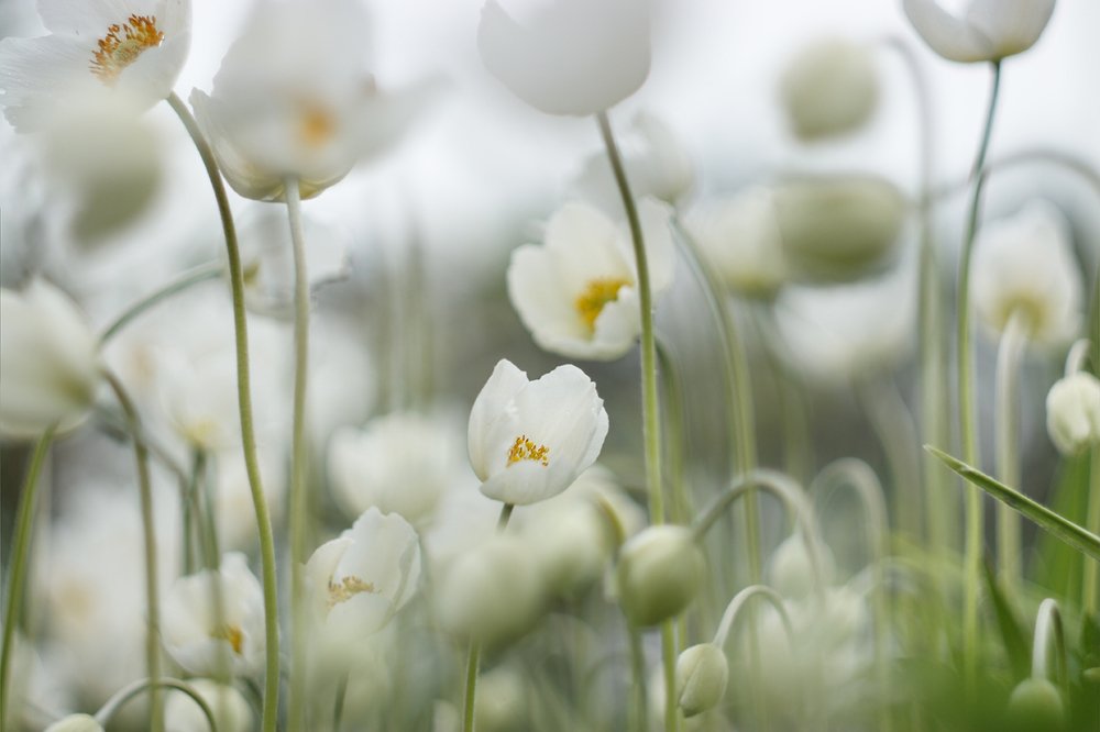 Photograph by Maria Tripoten