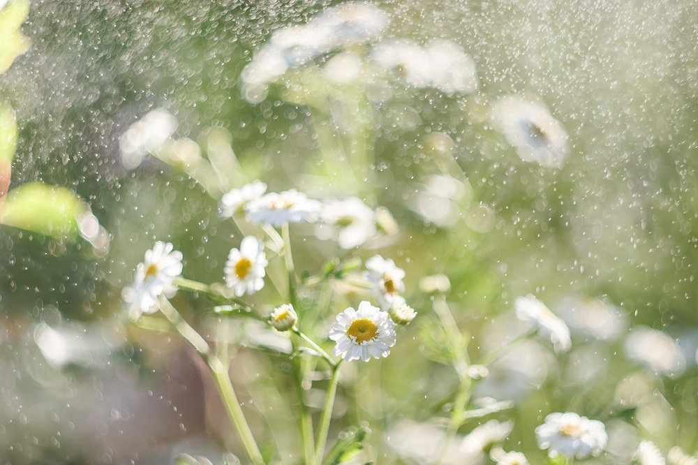 Photograph by Maria Tripoten