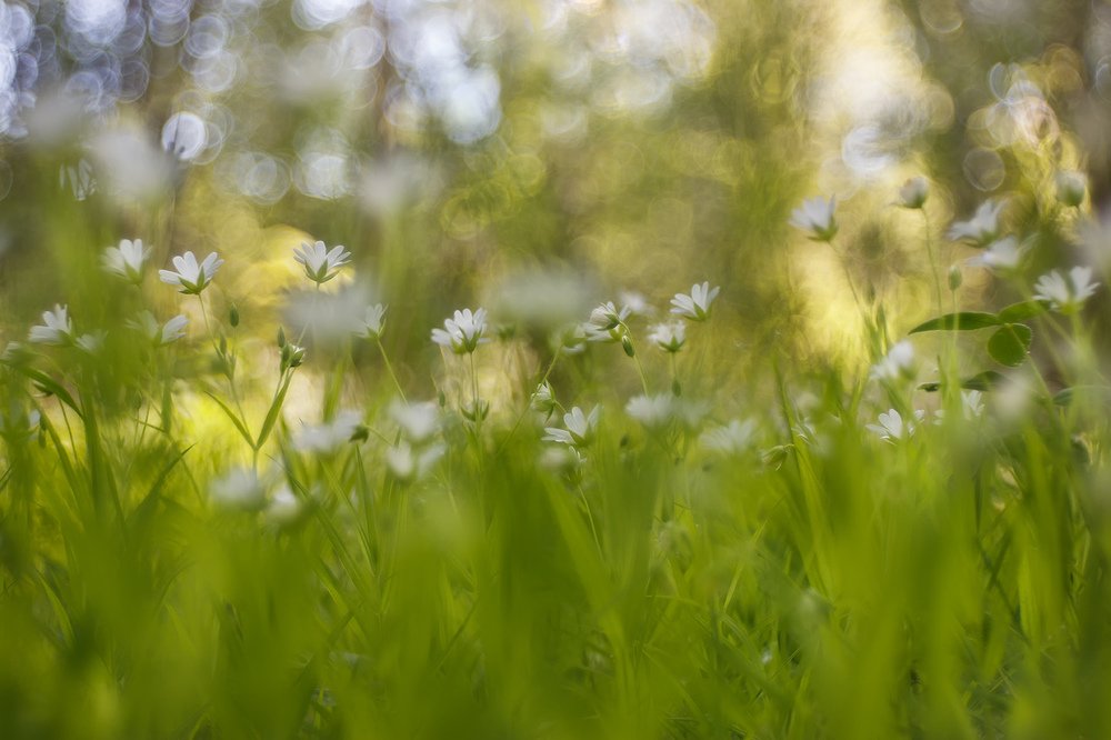 Photograph by Maria Tripoten