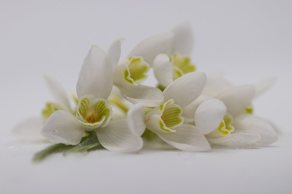 Photograph by Maria Tripoten