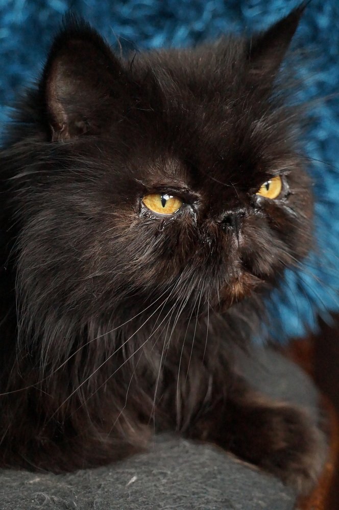 Photograph by Елена Ельчанинова