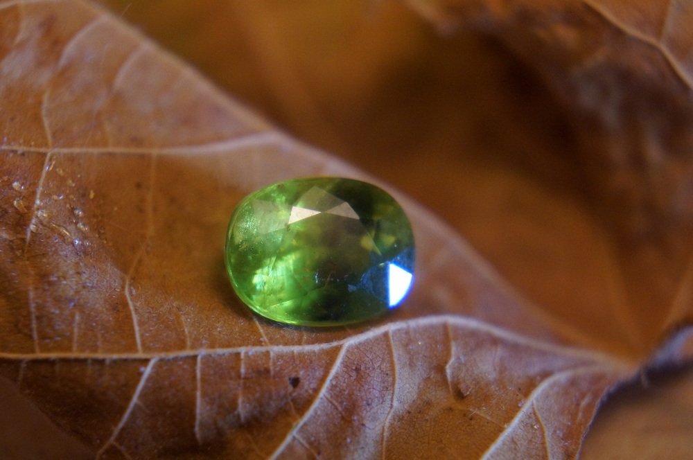 Photograph by Елена Ельчанинова