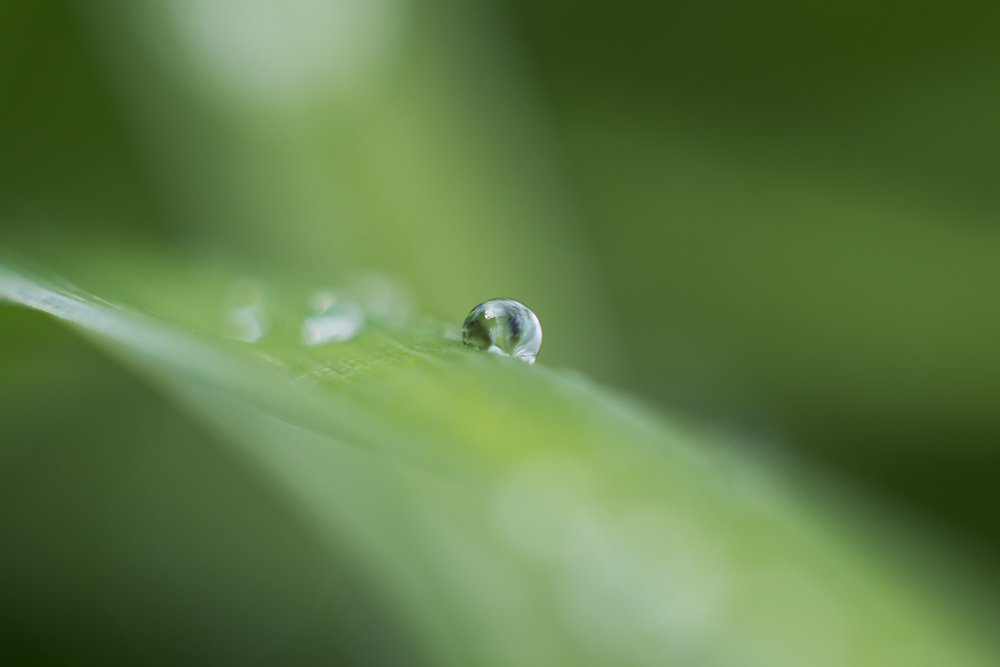 Photograph by Maria Tripoten