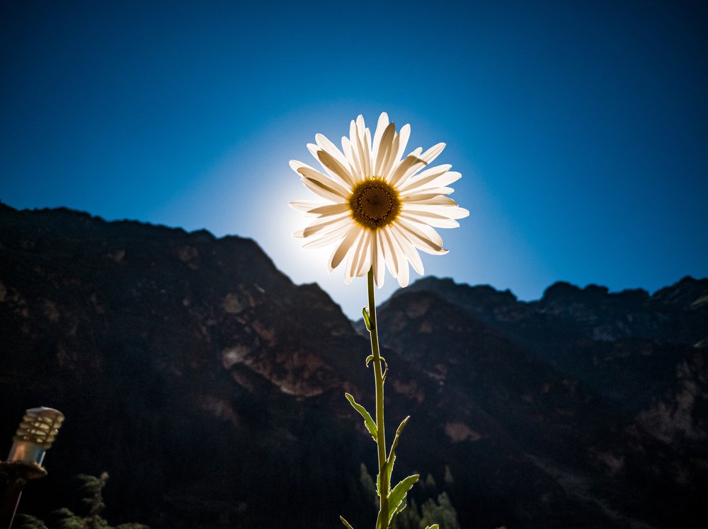 Photograph by Jonatan Tapia Flores