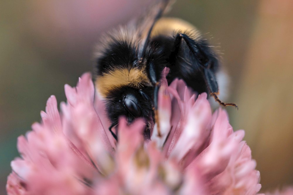 Фотография автора Маргарита Басова
