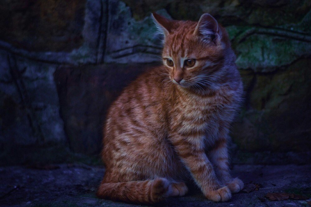 Photograph by Никита