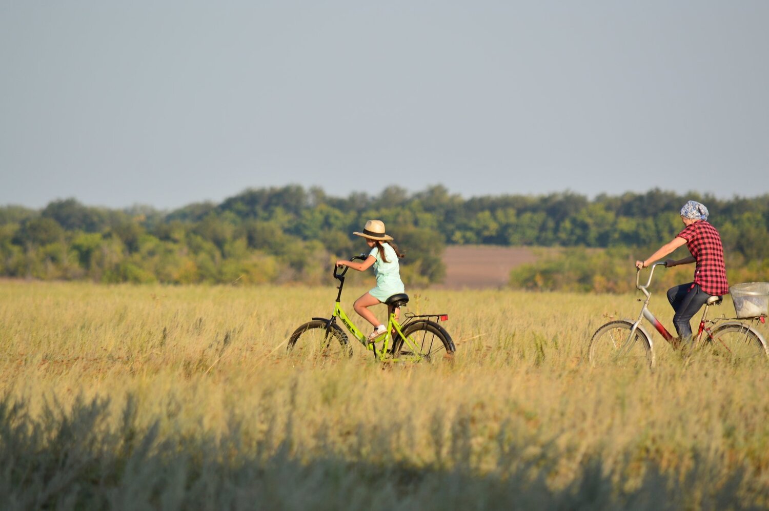 Photo #3588939
