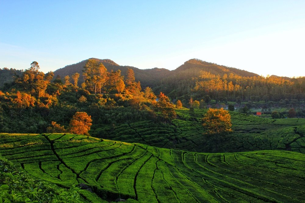 Photograph by Baraya Rocky