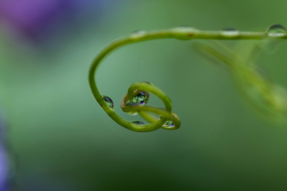 Фотография автора Маргарита Басова