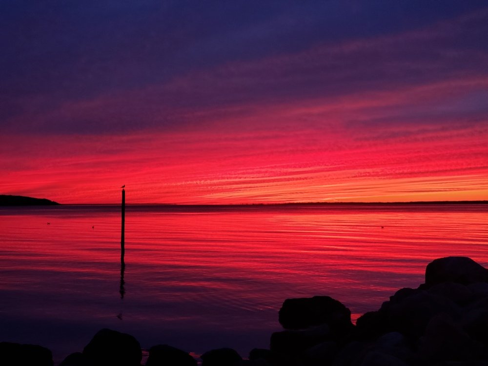 Photograph by Толкун Асаналы