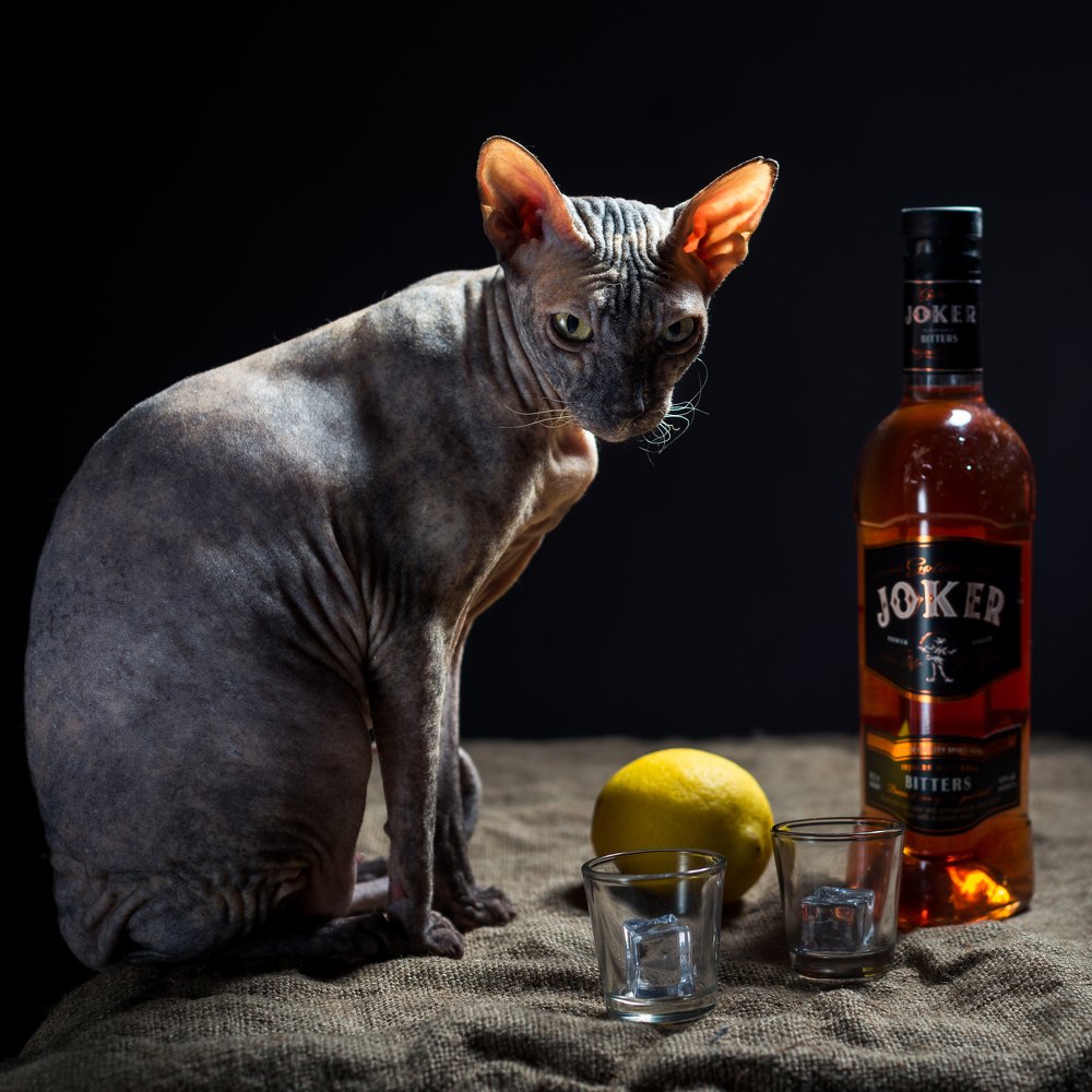 Фотография автора Вячеслав Владимирович