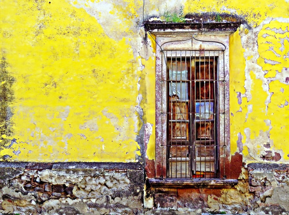 Photograph by Celina CelyTessy