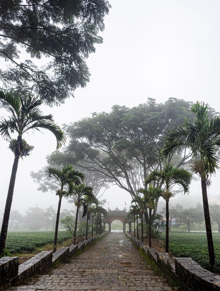 Photograph by Александр Кононов