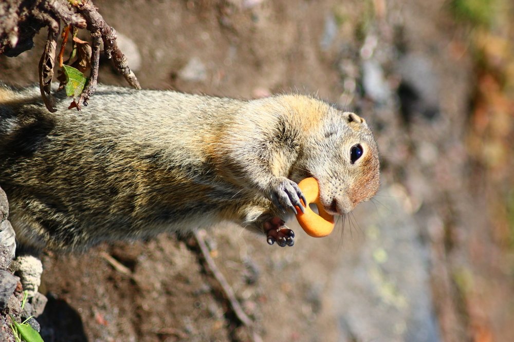 Photograph by Марго Ерёмина