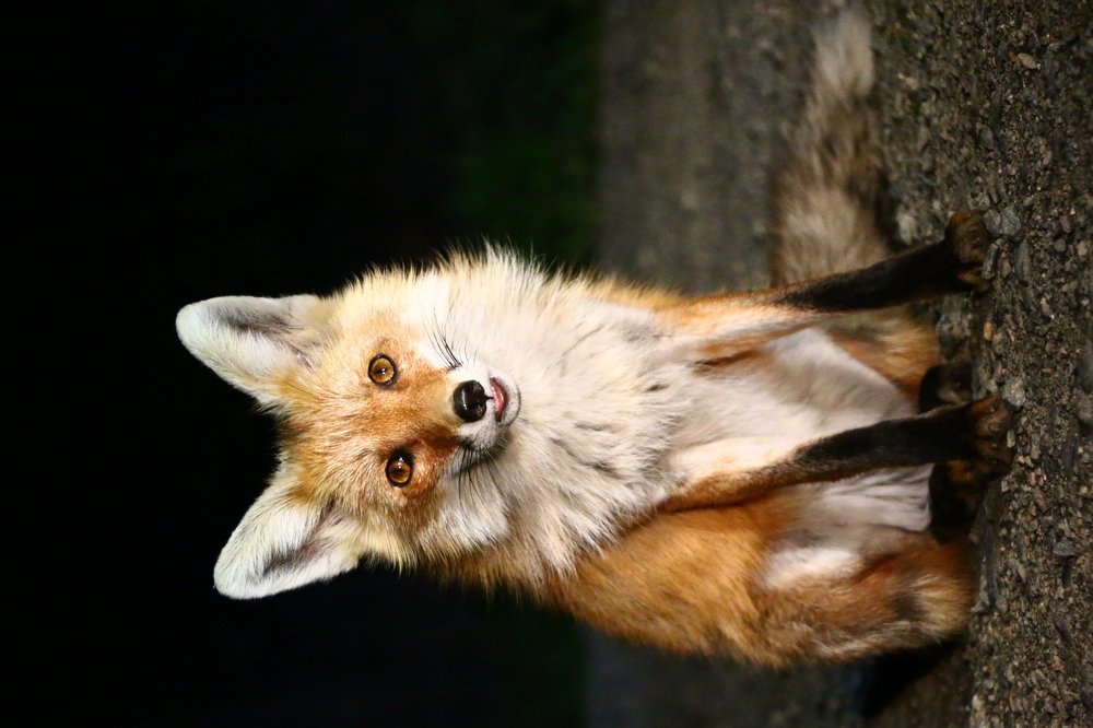 Photograph by Марго Ерёмина