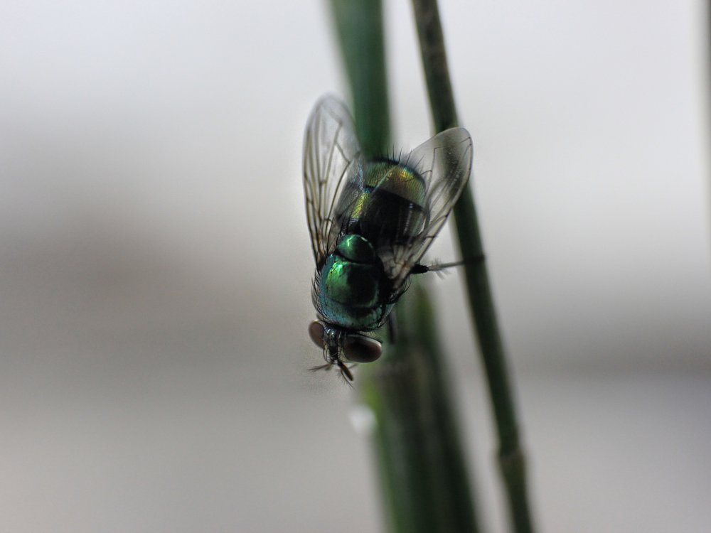 Photograph by Yayan Ambyat Wahyudin