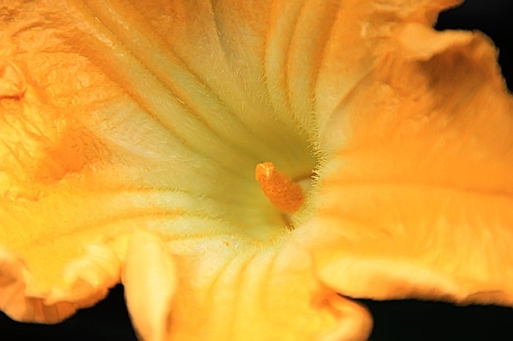 Photograph by Yayan Ambyat Wahyudin