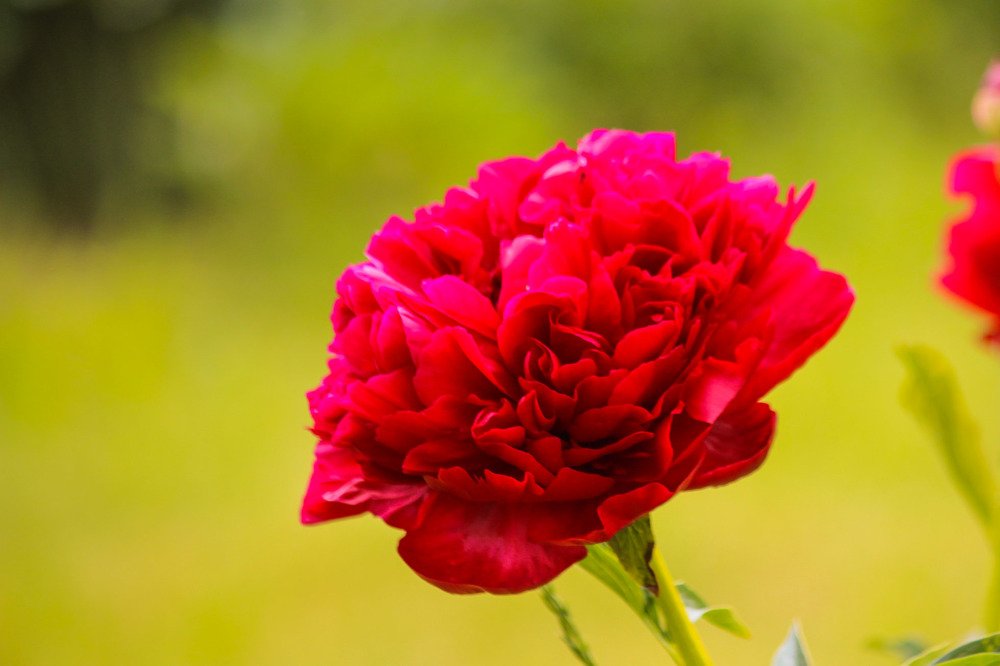 Photograph by Елена Верховская