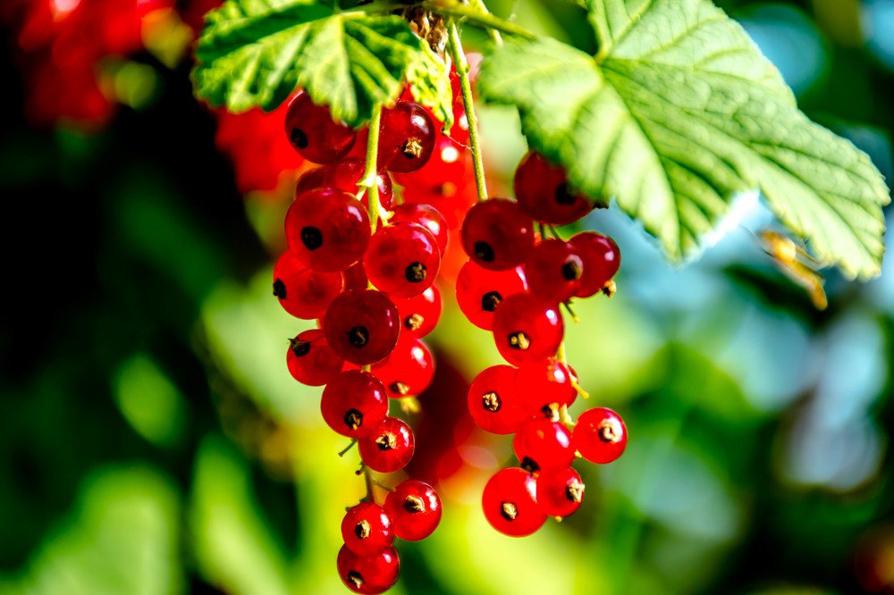 Photograph by Елена Прохорова