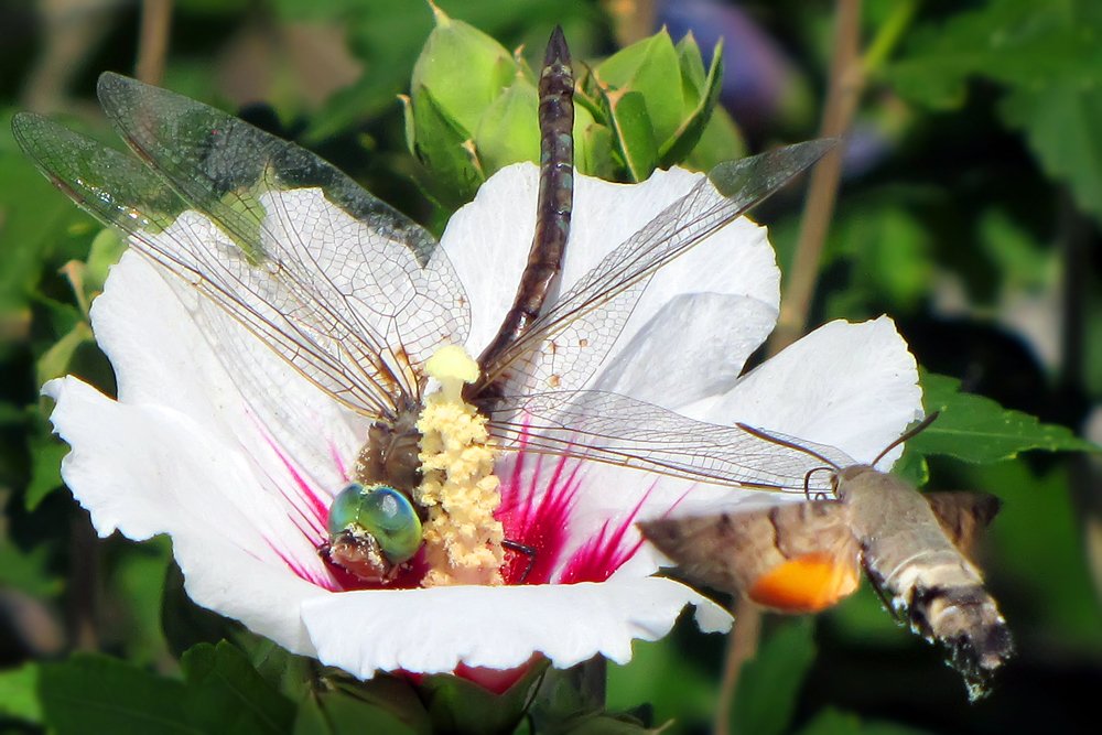 Photograph by Евгений Вивюрский