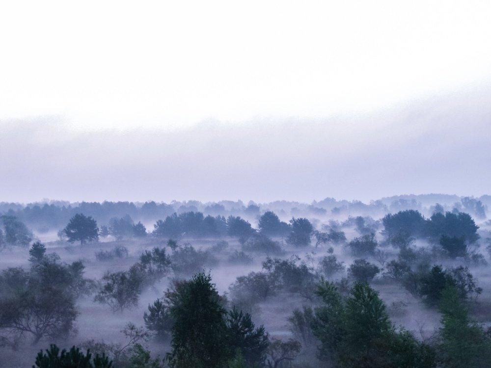 Photograph by Андрей