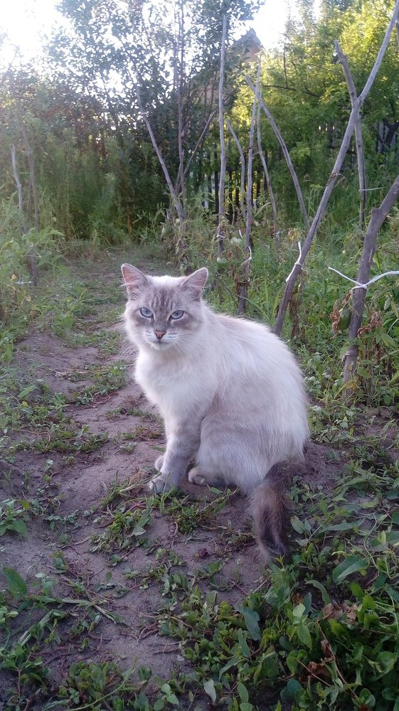 Photo #3589177