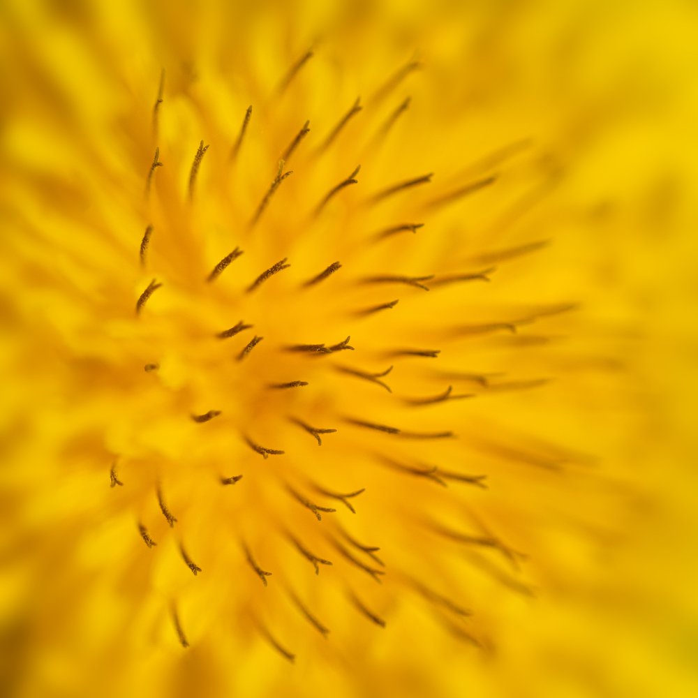 Photograph by Вадим Смирнов