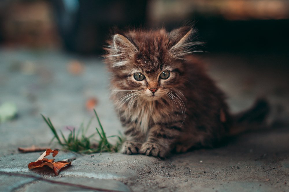 Photograph by Илья Кузнецов