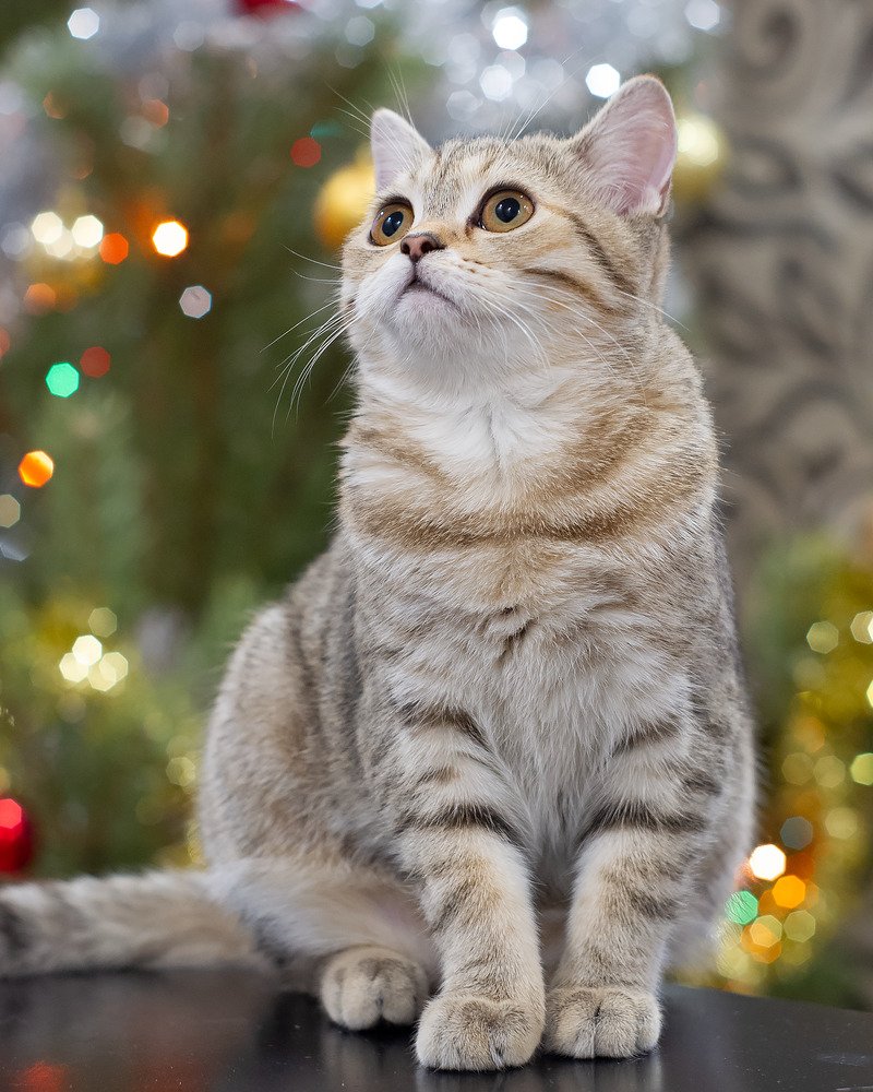 Photograph by Антон Богатов