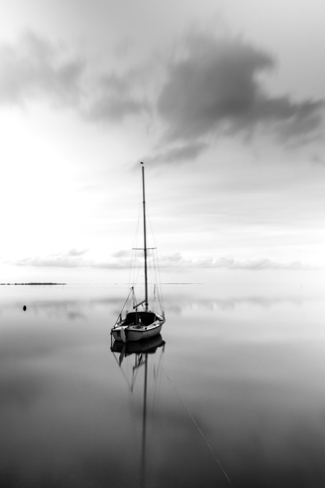 Photograph by Saulius Mikalauskas