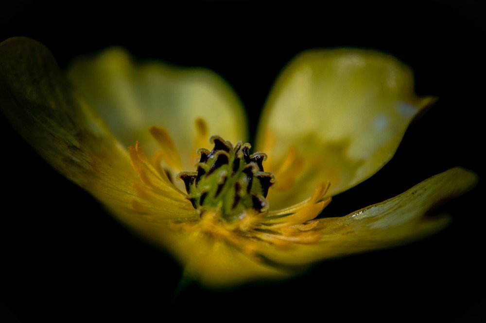 Фотография автора Маргарита Басова