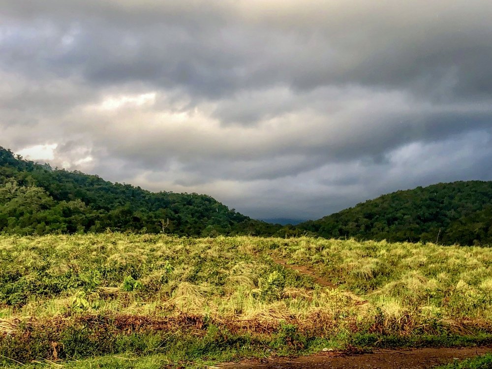 Photograph by Rajesh Abdulsalim