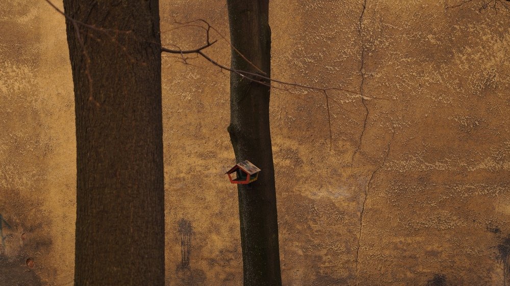 Photograph by Мария