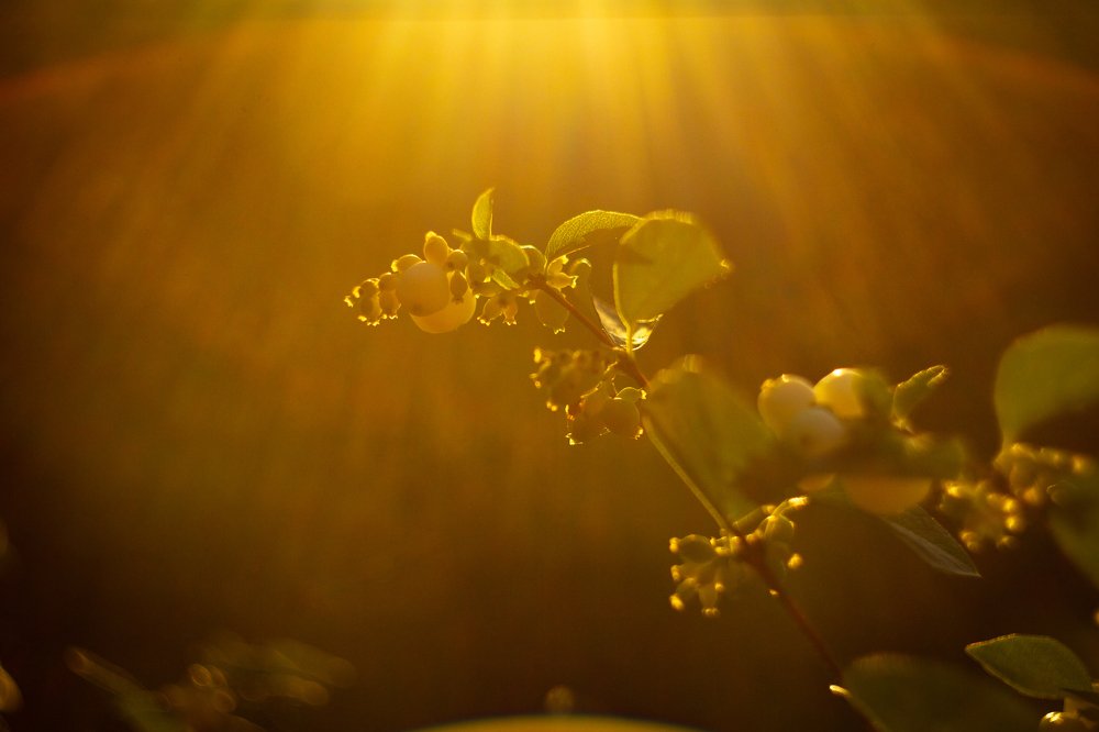 Фотография автора Ольга Тайчинова