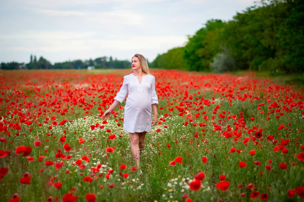 Прогулка в маковых полях