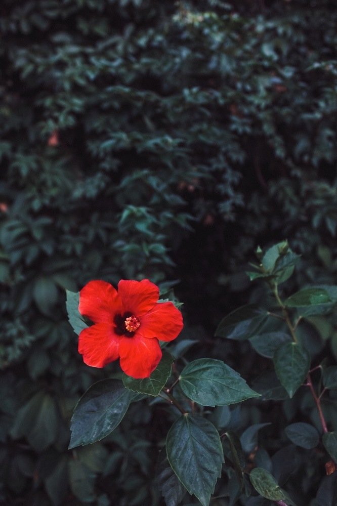 Фотография автора Мария Жукова