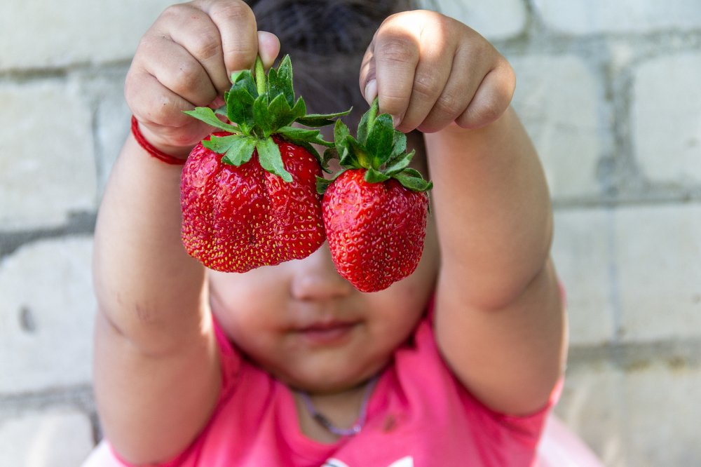 Фотография автора Ольга Тайчинова