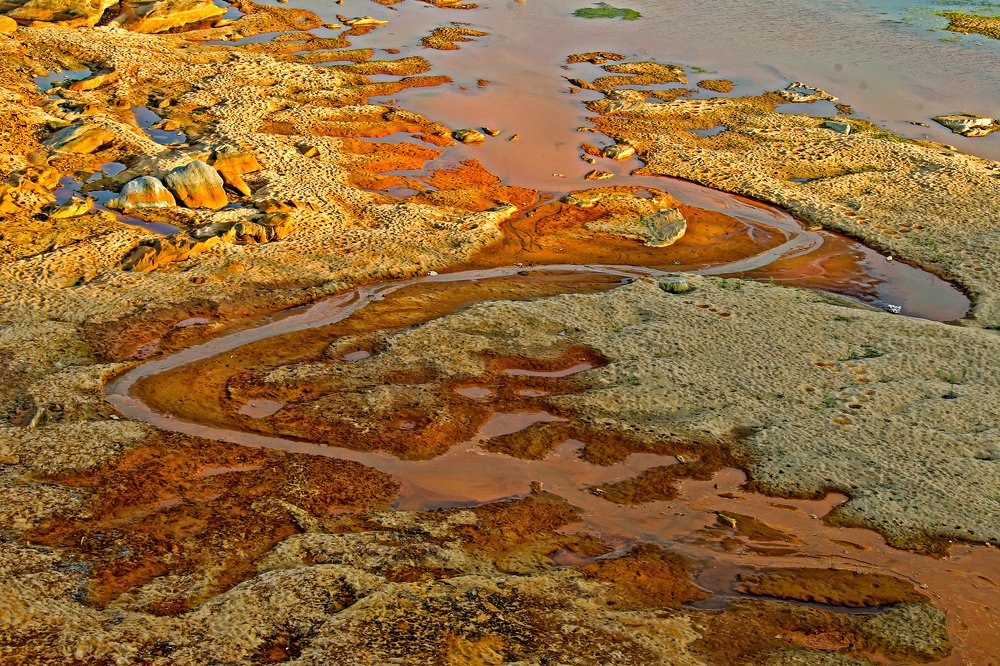 Photograph by Shibram Nag