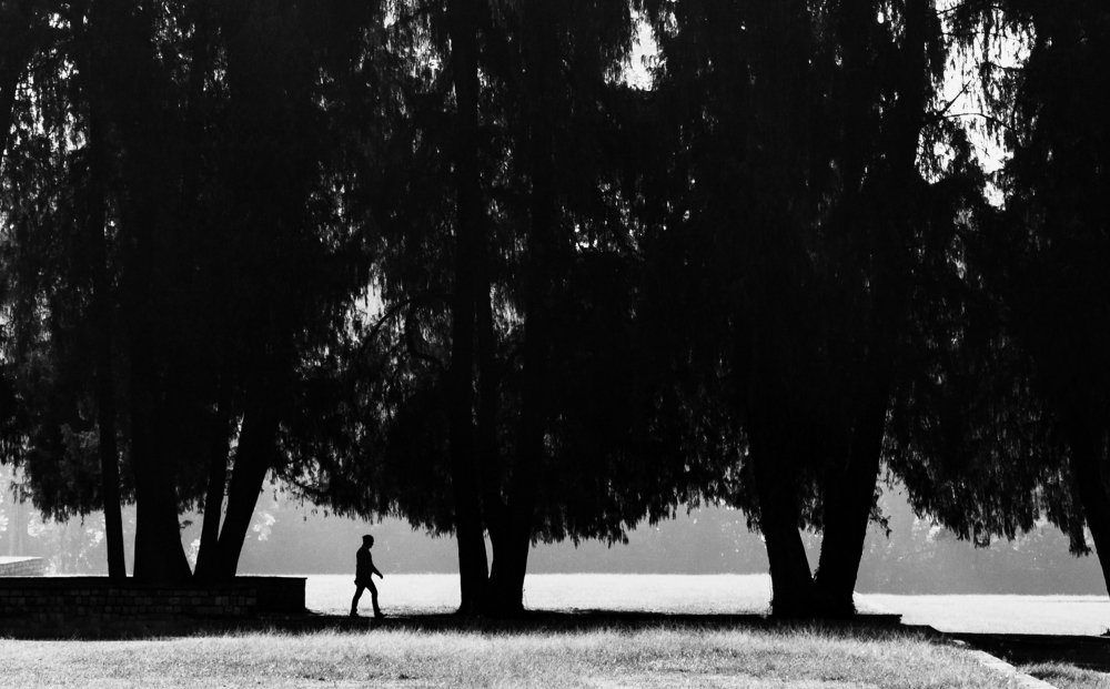 Photograph by Manish Kumar Lodhi