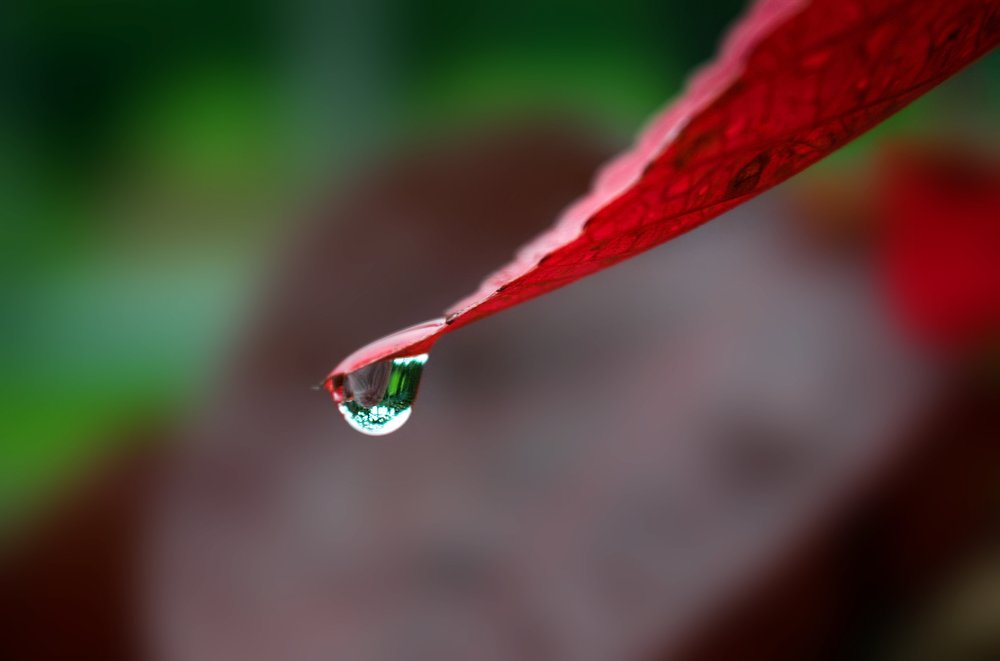 Photograph by Ananta Ojha