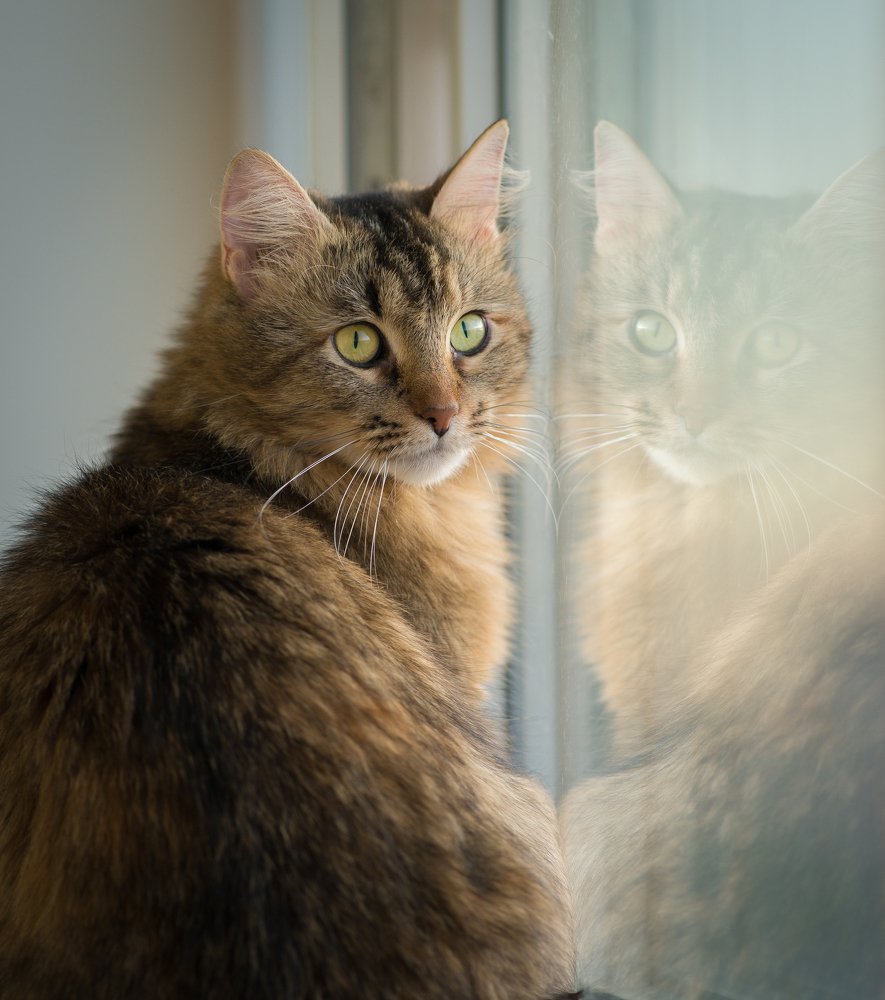 Photograph by Татьяна Пименкова