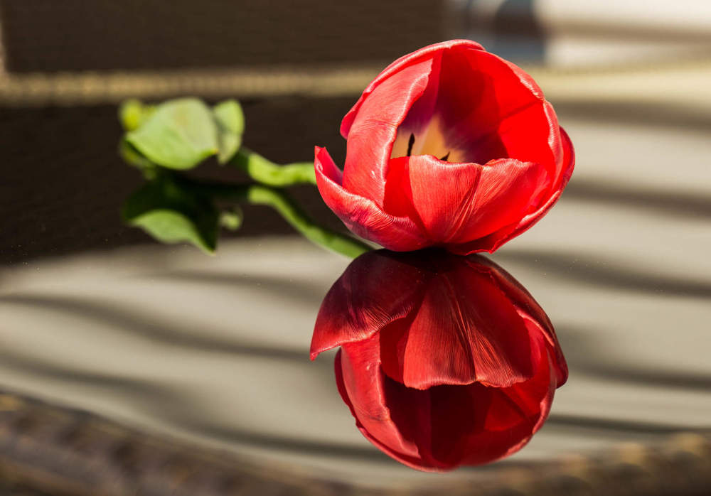 Photograph by Elena Gebert