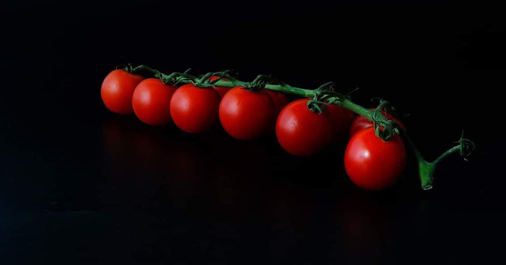 Photograph by Julia Nazarova