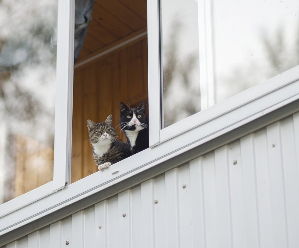 Смотреть в одну сторону...
