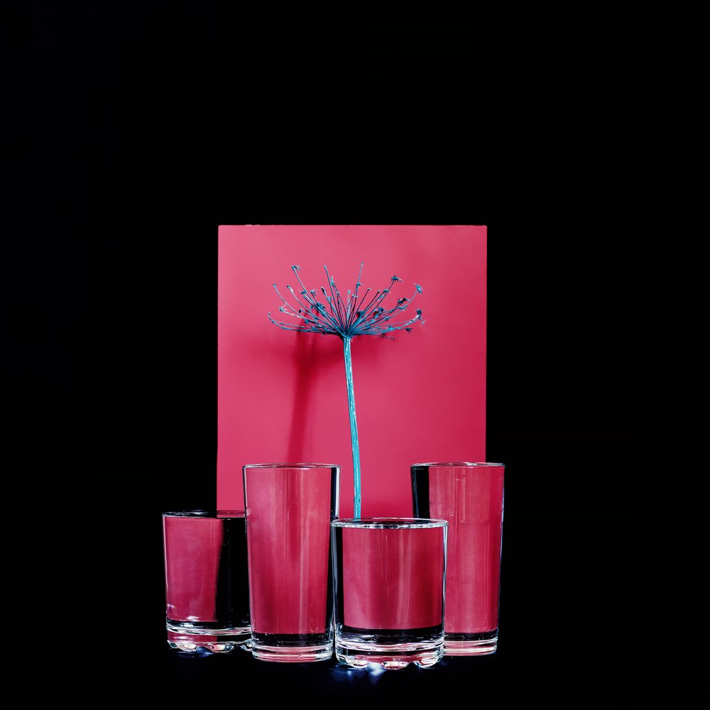 Photograph by Василь Камалов