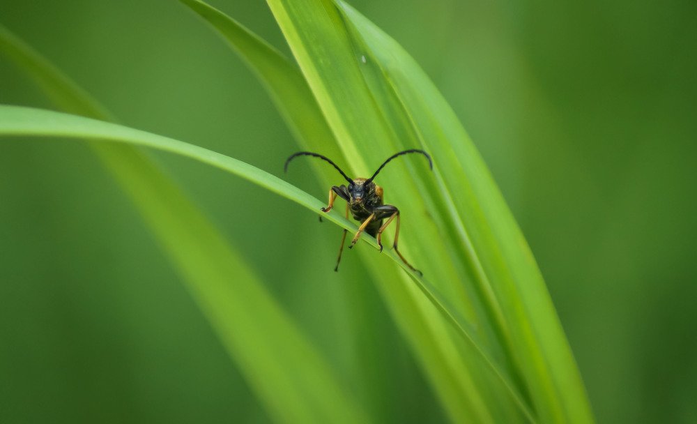 Photograph by Slesareva Nina