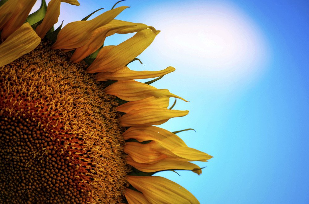 Photograph by Виктория Чушкина