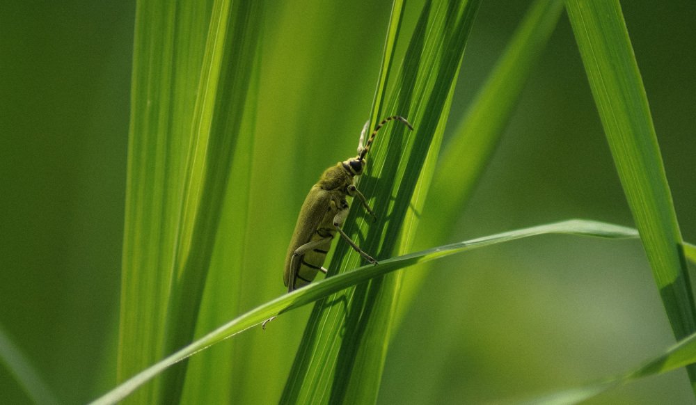 Photograph by Slesareva Nina